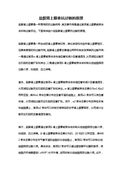 盐酸肾上腺素抗过敏的原理