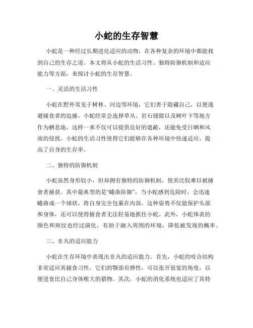 小蛇的生存智慧