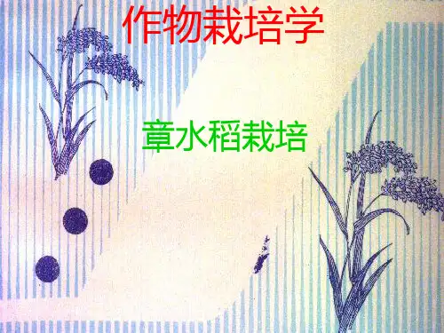 作物栽培学PPT课件