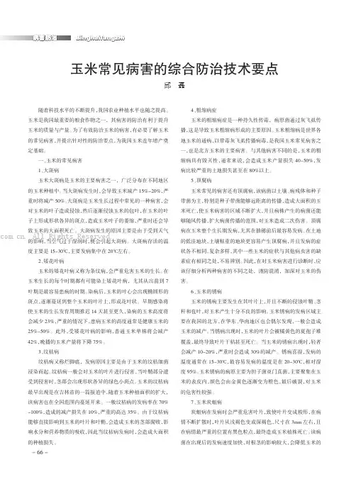 玉米常见病害的综合防治技术要点
