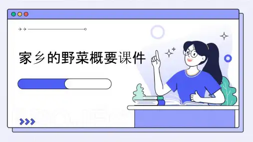 家乡的野菜概要课件