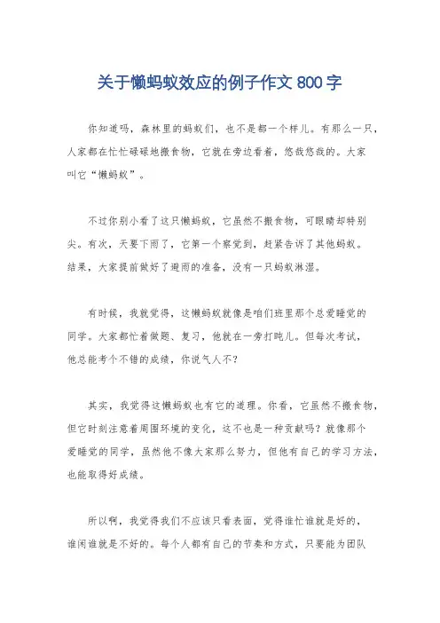 关于懒蚂蚁效应的例子作文800字