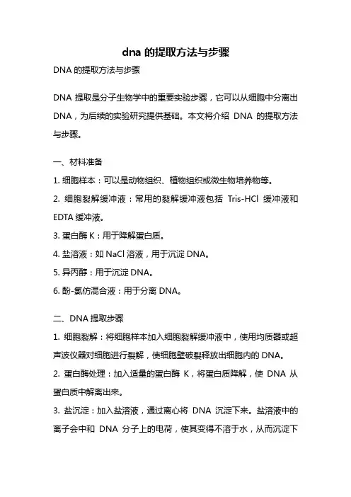 dna的提取方法与步骤