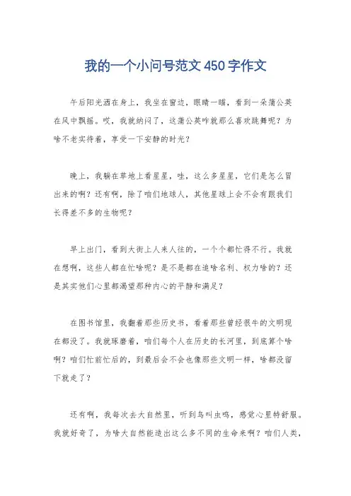 我的一个小问号范文450字作文