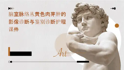 脑室脉络丛黄色肉芽肿的影像诊断与鉴别诊断护理课件