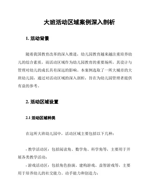 大班活动区域案例深入剖析