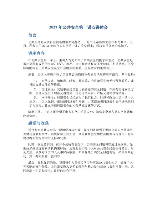 2023年公共安全第一课心得体会