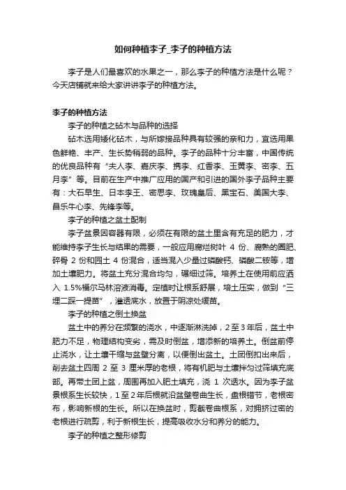 如何种植李子_李子的种植方法