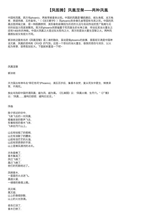 【凤图腾】凤凰涅槃——两种凤凰