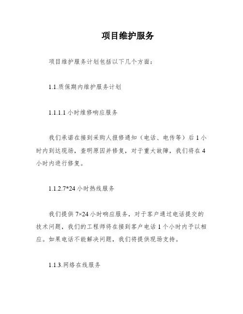 项目维护服务