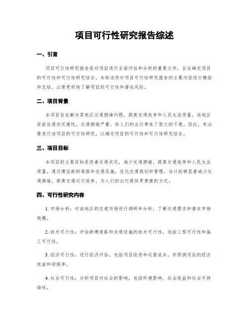 项目可行性研究报告综述