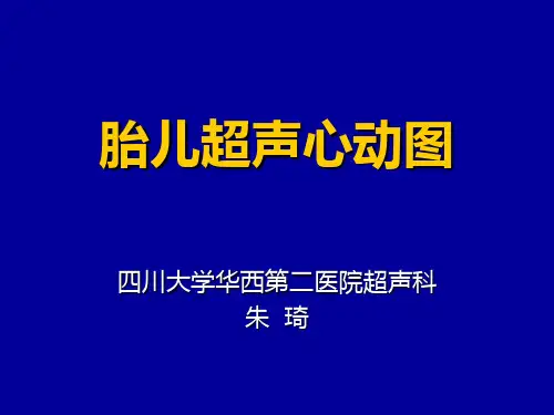 朱琦教授-胎儿心脏彩超检查