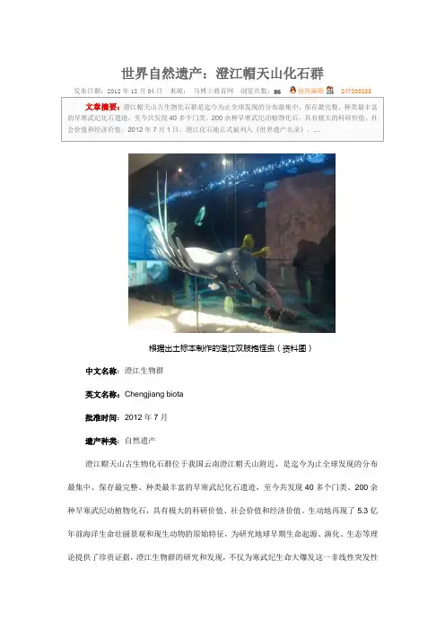 世界自然遗产澄江帽天山化石群