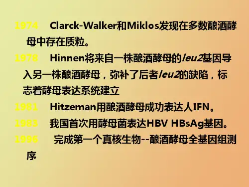 酵母基因工程