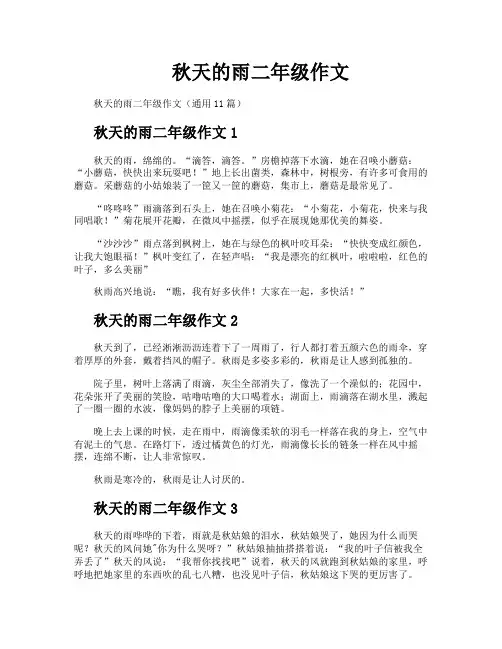 秋天的雨二年级作文