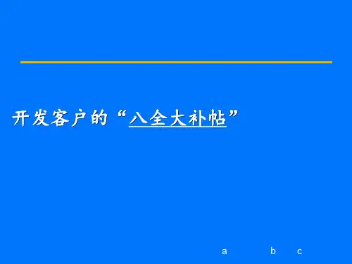 客户开发策略ppt课件