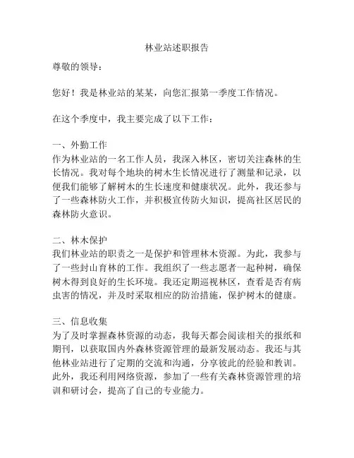 林业站述职报告