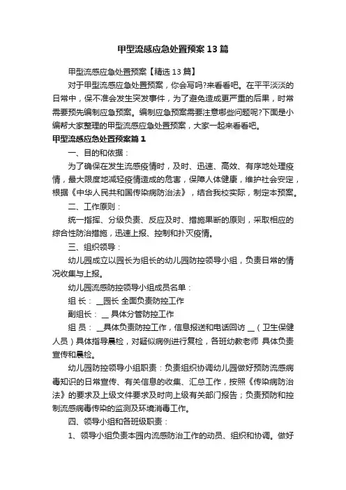 甲型流感应急处置预案13篇