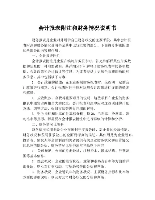 会计报表附注和财务情况说明书