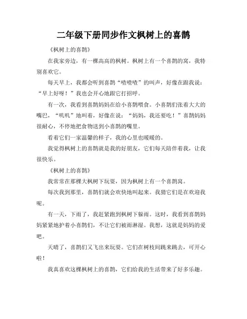二年级下册同步作文枫树上的喜鹊