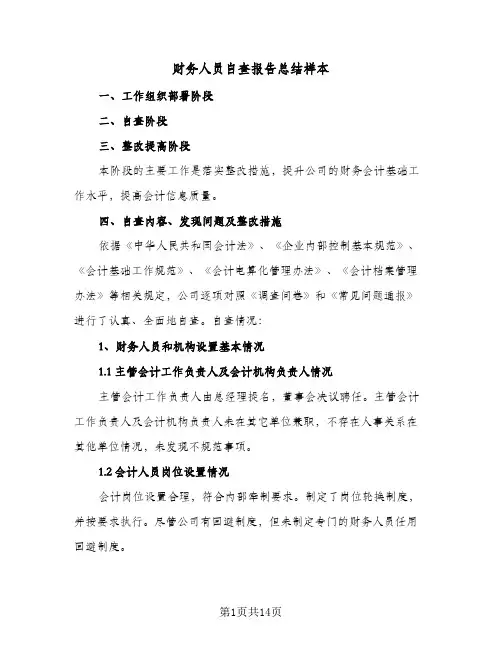 财务人员自查报告总结样本(五篇)