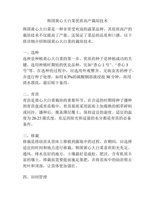 韩国黄心大白菜优质高产栽培技术