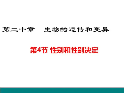性别和性别决定课件2023--2024学年北师大版生物八年级上册