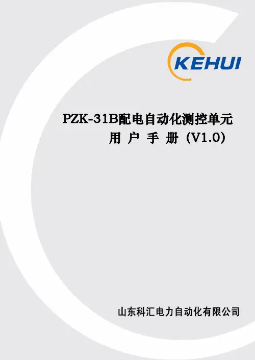 PZK-31B用户手册-发行版1
