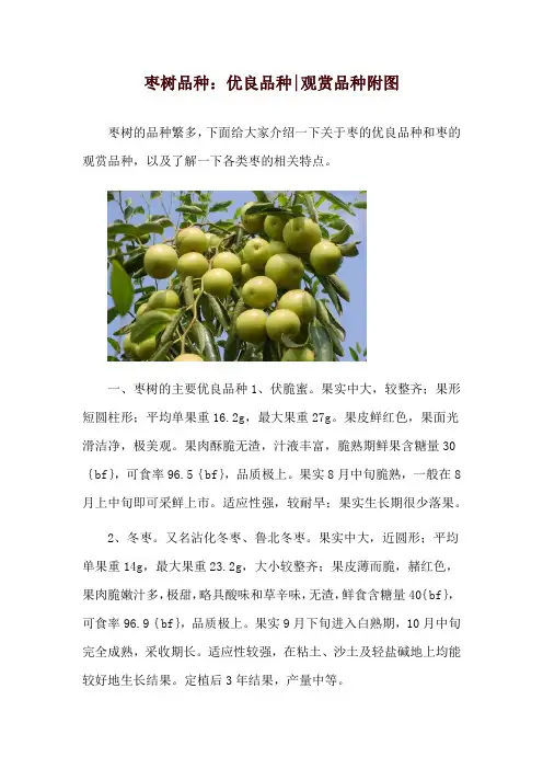 枣树品种：优良品种-观赏品种附图