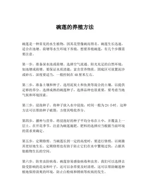碗莲的养殖方法