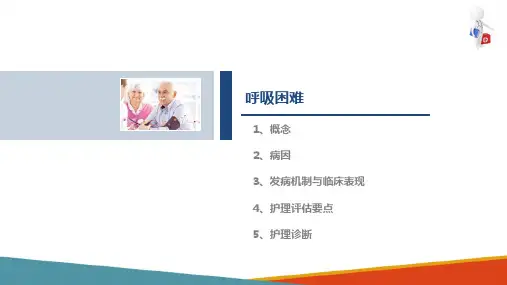 常见症状的评估—呼吸困难症状的评估(健康评估课件)