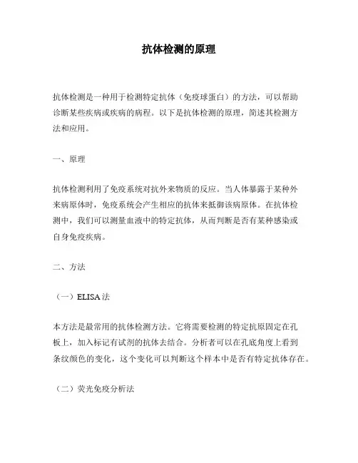 抗体检测的原理
