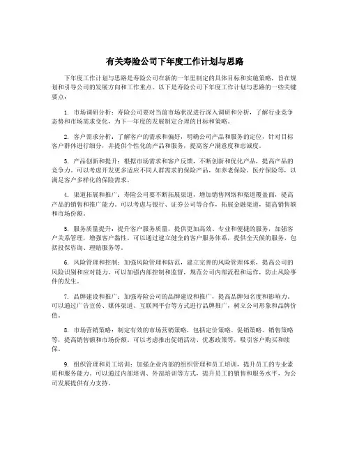 有关寿险公司下年度工作计划与思路
