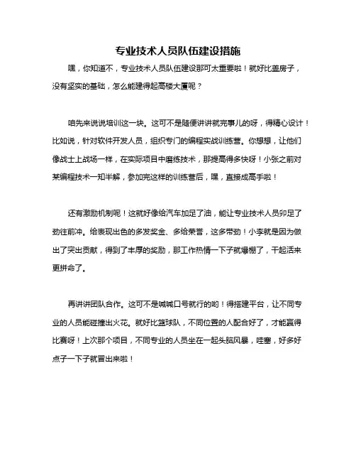 专业技术人员队伍建设措施