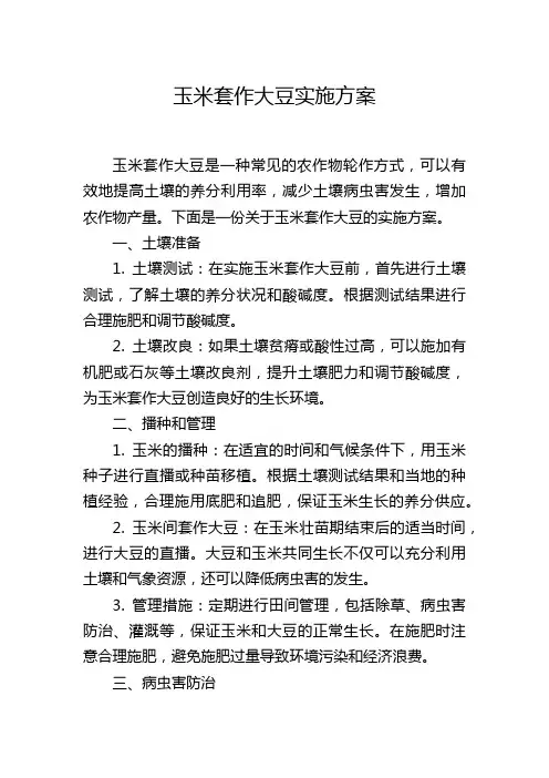 玉米套作大豆实施方案