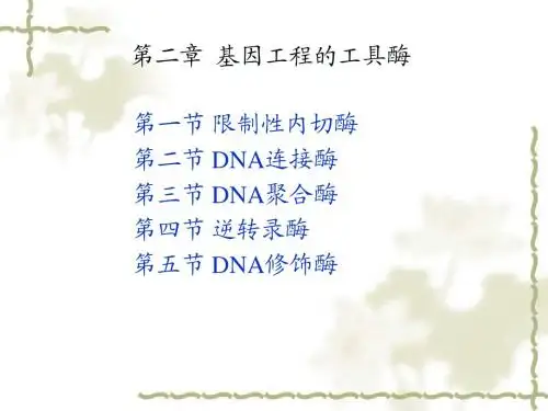 基因工程-2-工具酶