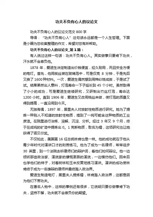 功夫不负有心人的议论文