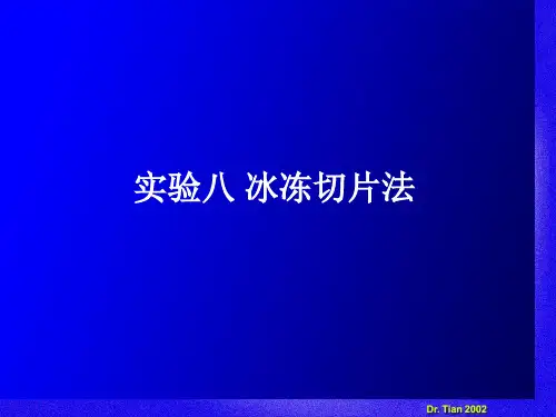 实验八 冰冻切片法