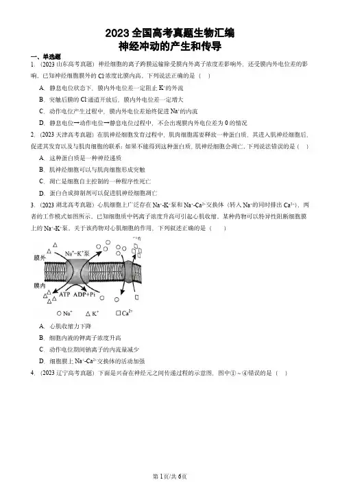 2023全国高考真题生物汇编：神经冲动的产生和传导