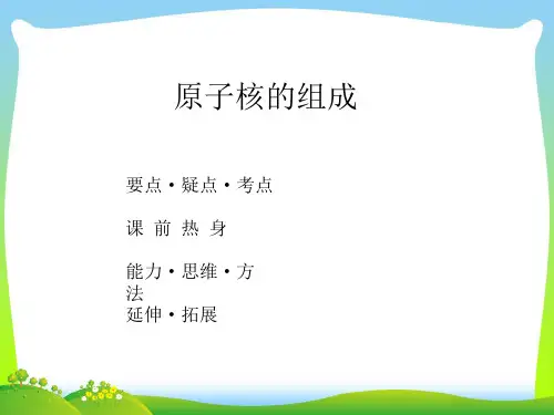 原子核的组成-课件