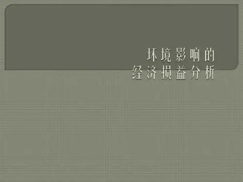 环境影响经济损益分析