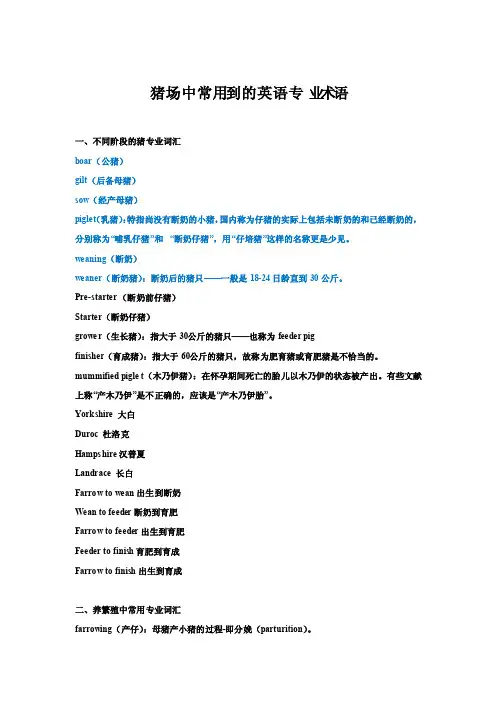 猪场中常用到的英语专业术语