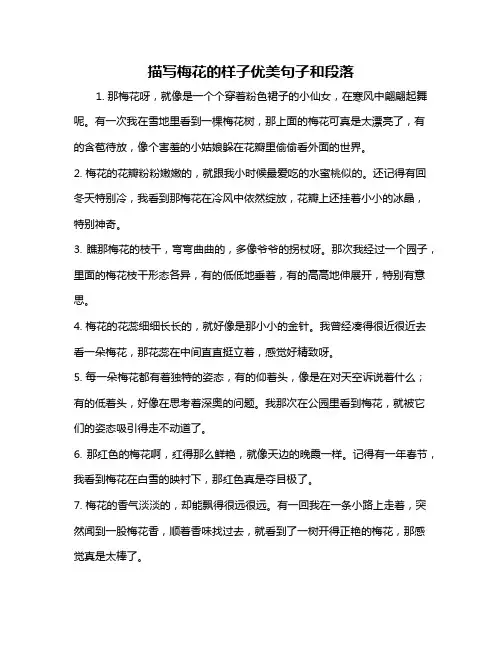 描写梅花的样子优美句子和段落