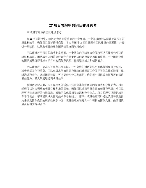 IT项目管理中的团队建设思考