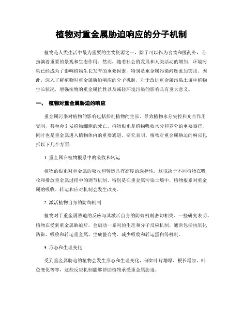 植物对重金属胁迫响应的分子机制