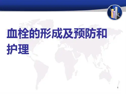血栓的形成PPT课件