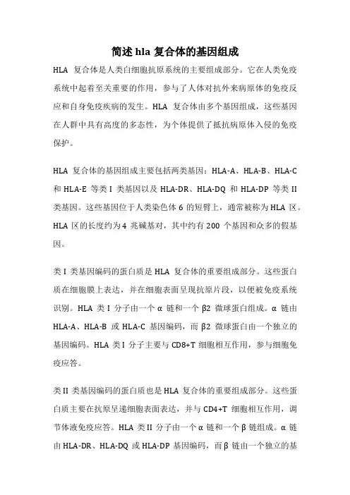 简述hla复合体的基因组成