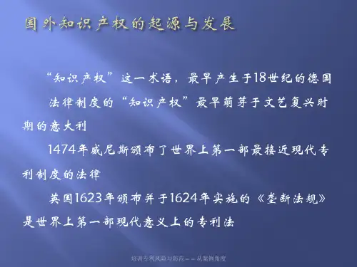 培训专利风险与防范从案例角度课件