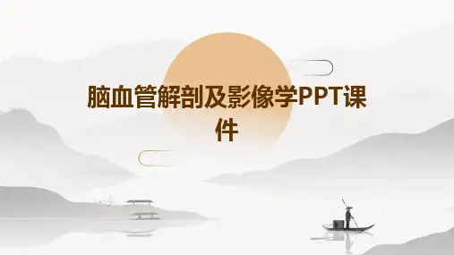 脑血管解剖及影像学PPT课件