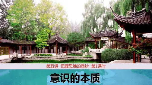 高中政治必修4精品课件2：5.1 意识的本质